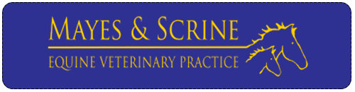 Mayes And Scrine Equine Vets logo image