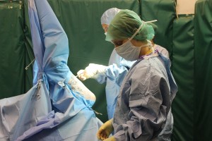 Mayes and Scrine Equine Surgery